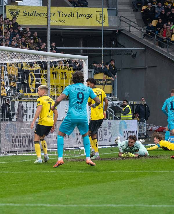 Der Ball zappelt im Netz, Torschütze David Otto dreht jubelnd ab.
