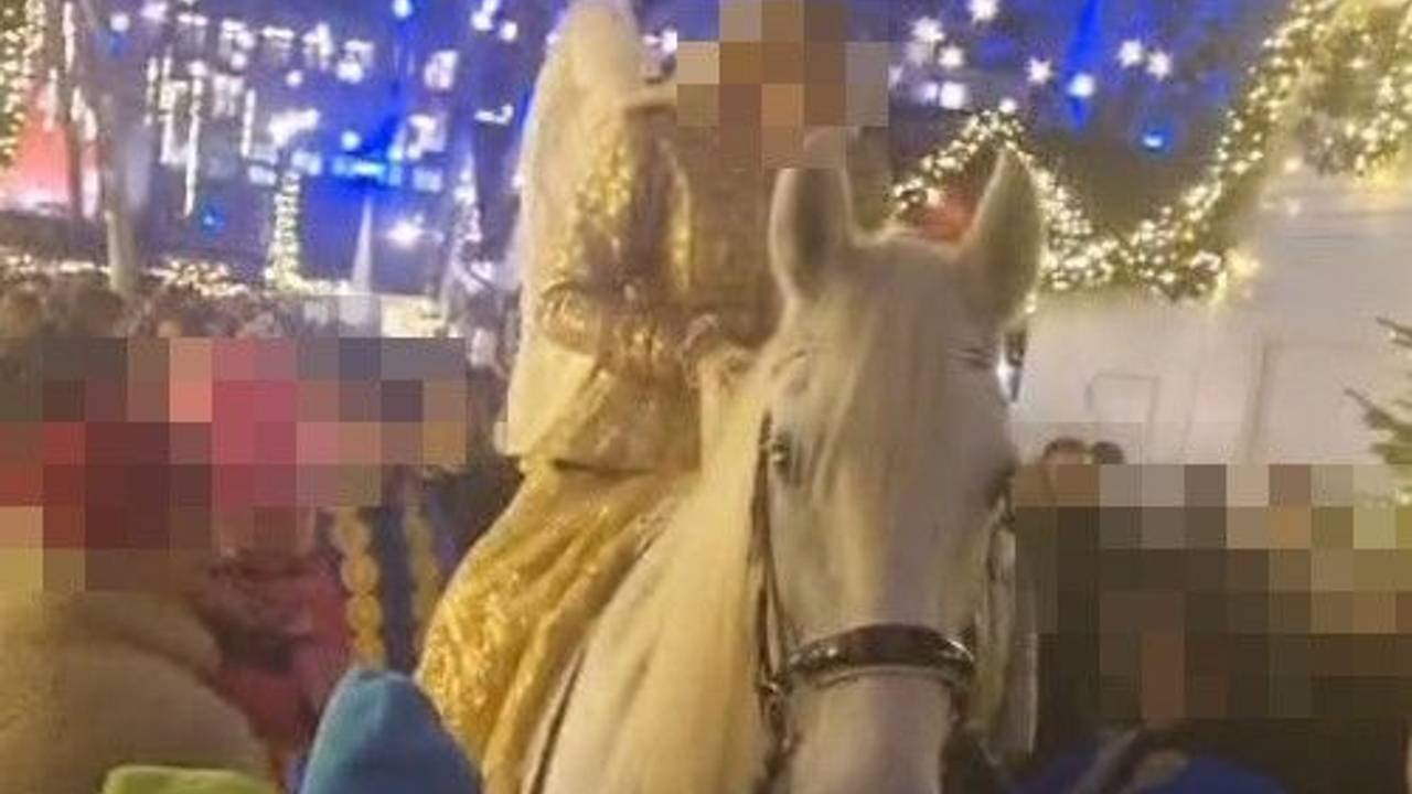 Seit fünf Jahren ist ein Pferd auf dem „Markt der Engel” in Köln zu sehen. Die Tierschutzorganisation PETA kritisiert das Vorgehen scharf.