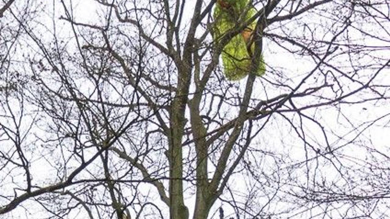 Die Freiwillige Feuerwehr Porta Westfalica wurde zu einem abgestürzten Paragleiter im Wiehengebirge nahe der Wittekindsburg gerufen.