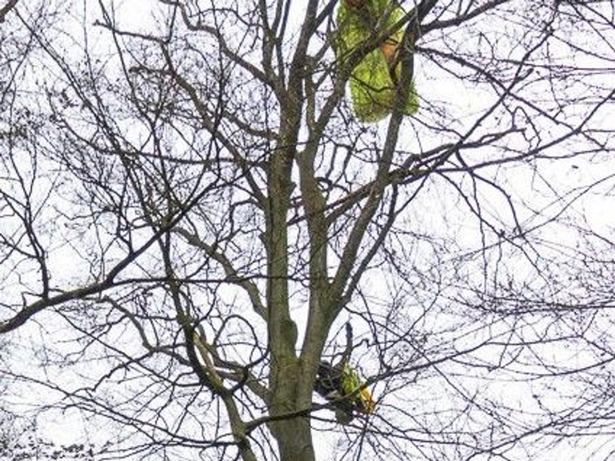 Die Freiwillige Feuerwehr Porta Westfalica wurde zu einem abgestürzten Paragleiter im Wiehengebirge nahe der Wittekindsburg gerufen.