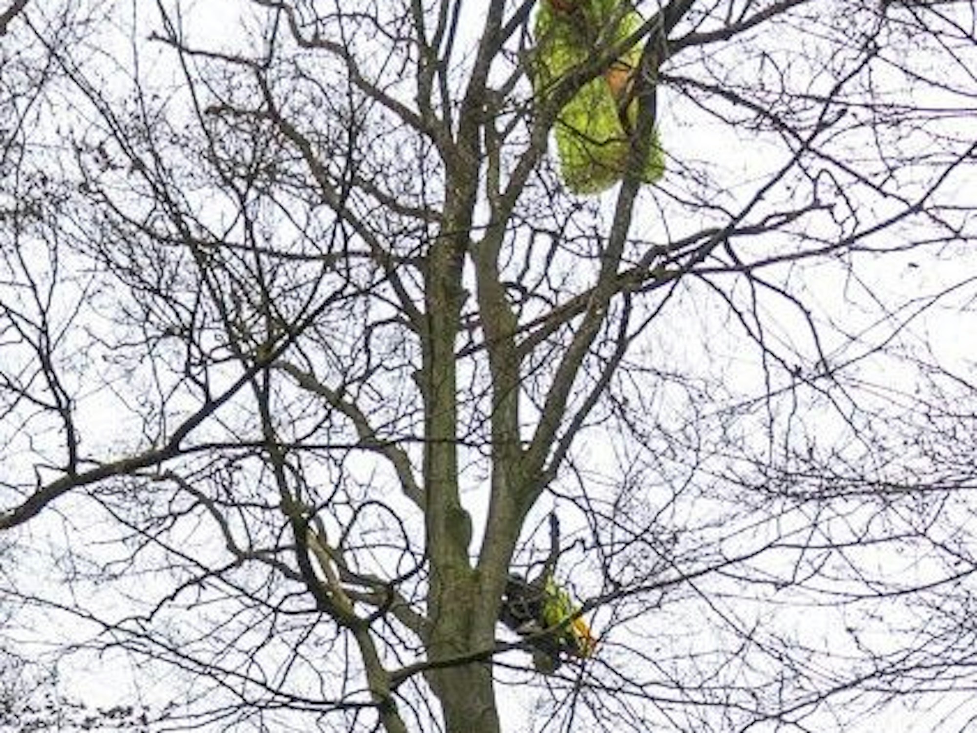 Die Freiwillige Feuerwehr Porta Westfalica wurde zu einem abgestürzten Paragleiter im Wiehengebirge nahe der Wittekindsburg gerufen.