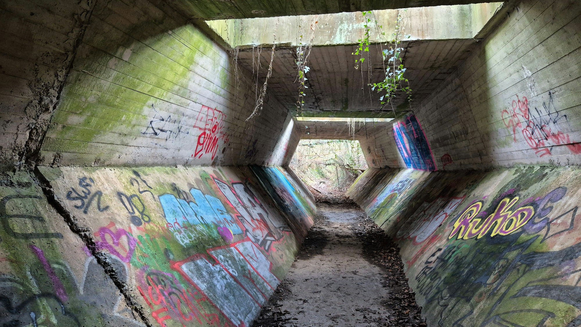 Blick in den 50 Meter langen Tunnel.