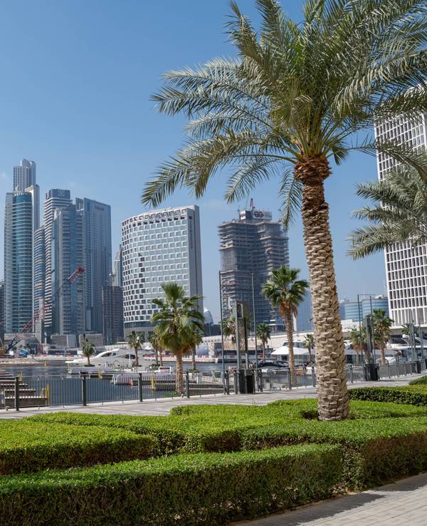 Blick auf die Skyline von Dubai bei Sonnenschein.