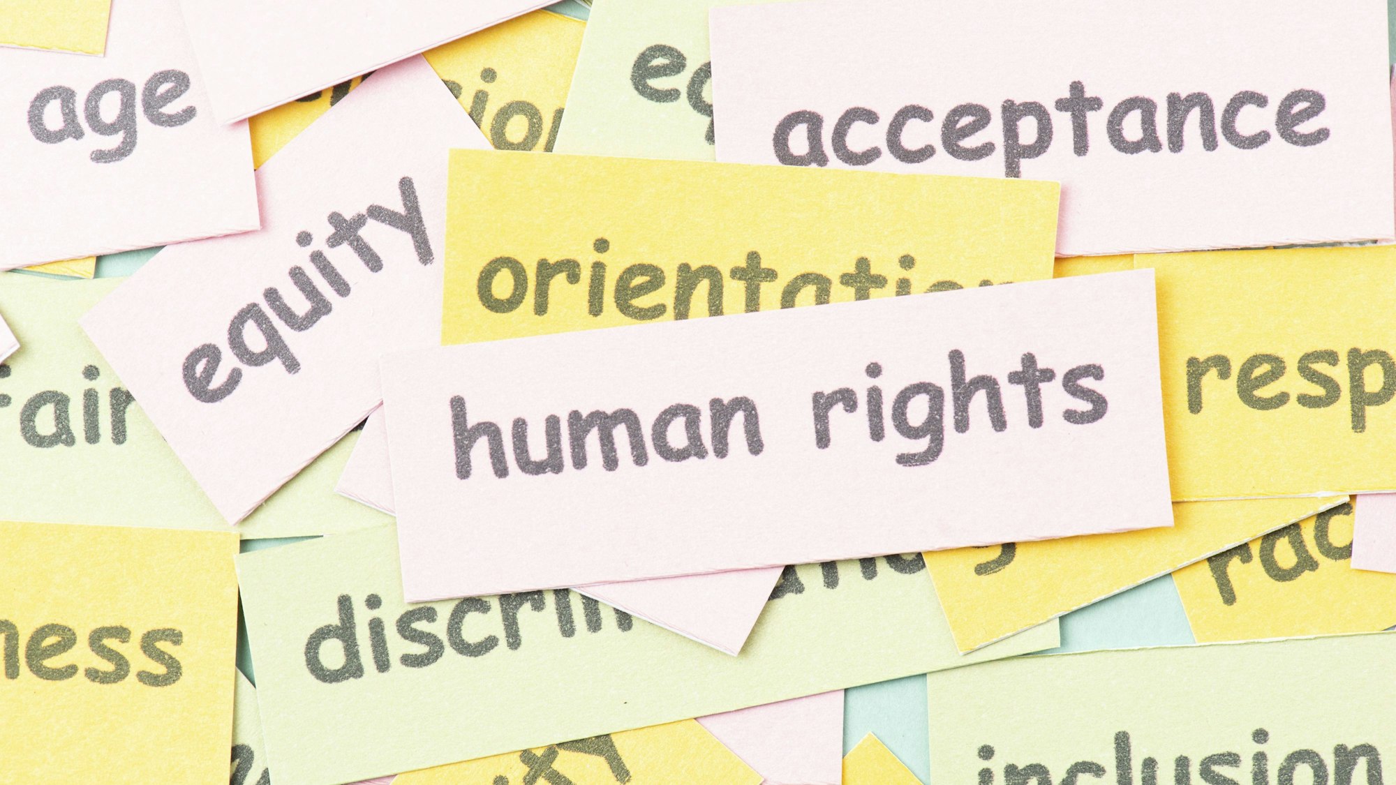 Berit Kessler zeigt Kärtchen mit Menschenrechte-Begriffen