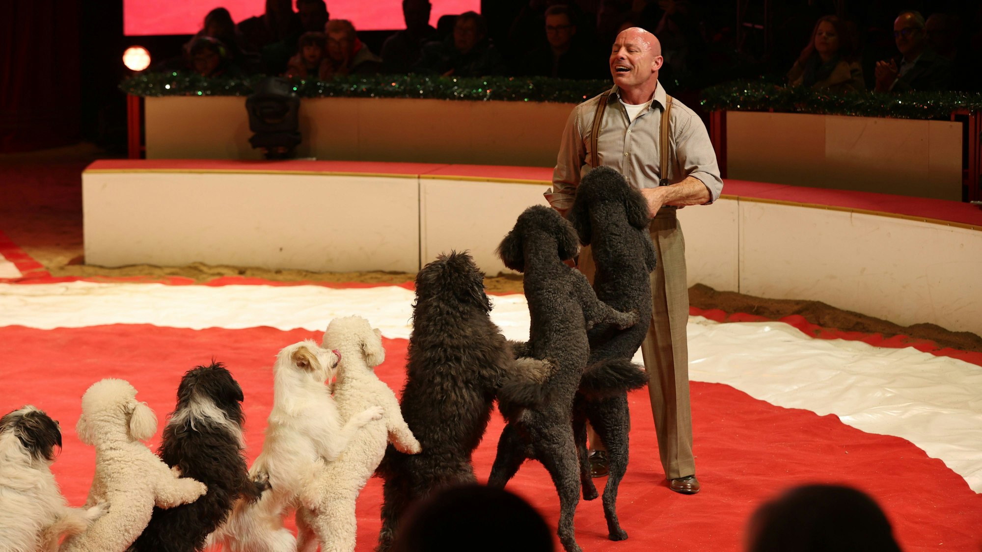 Wolfgang Lauenburger präsentiert stehende Hunde im Zirkus