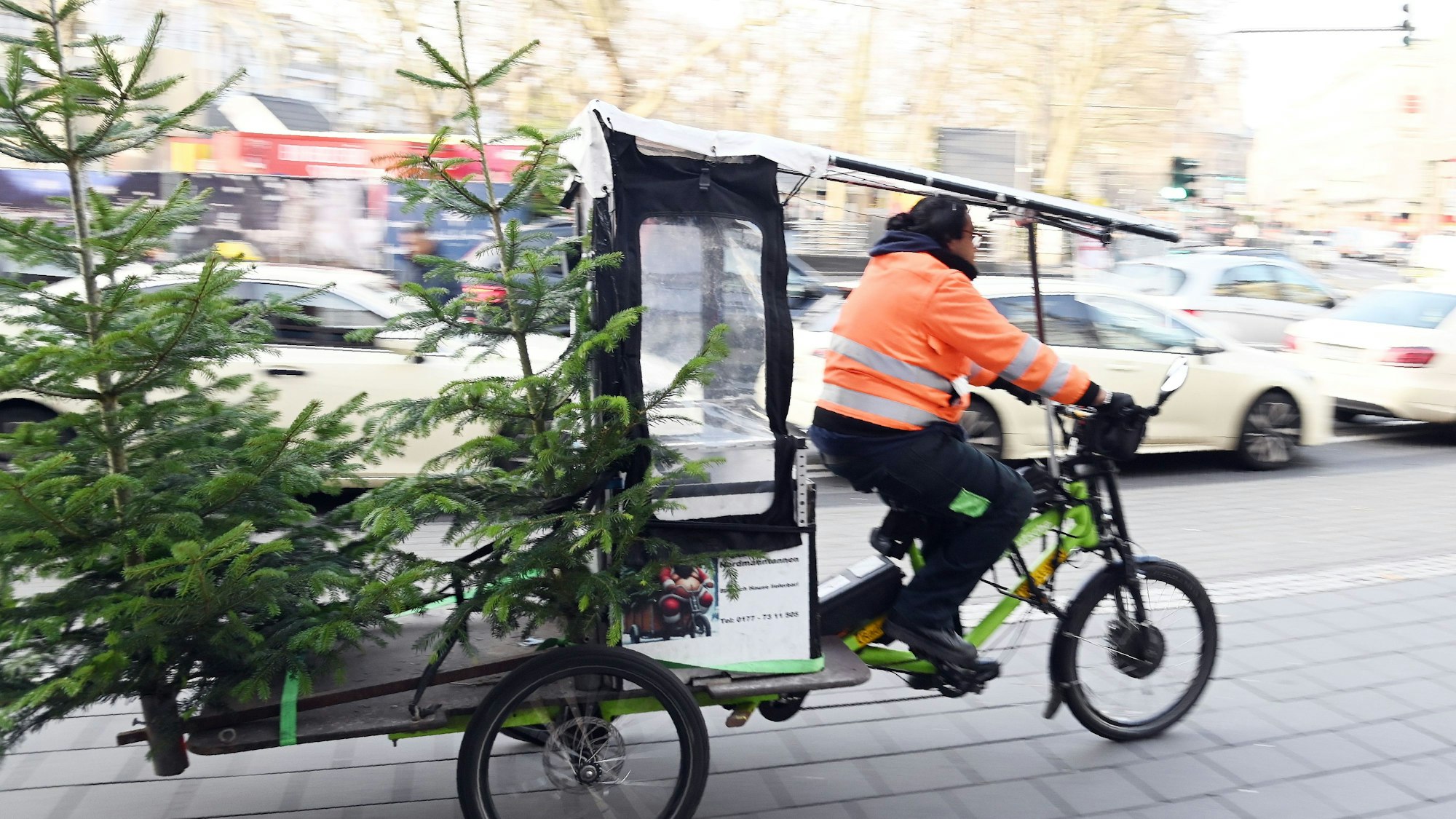 Migiloco´s Weihnachtsbaum-Lieferservice.