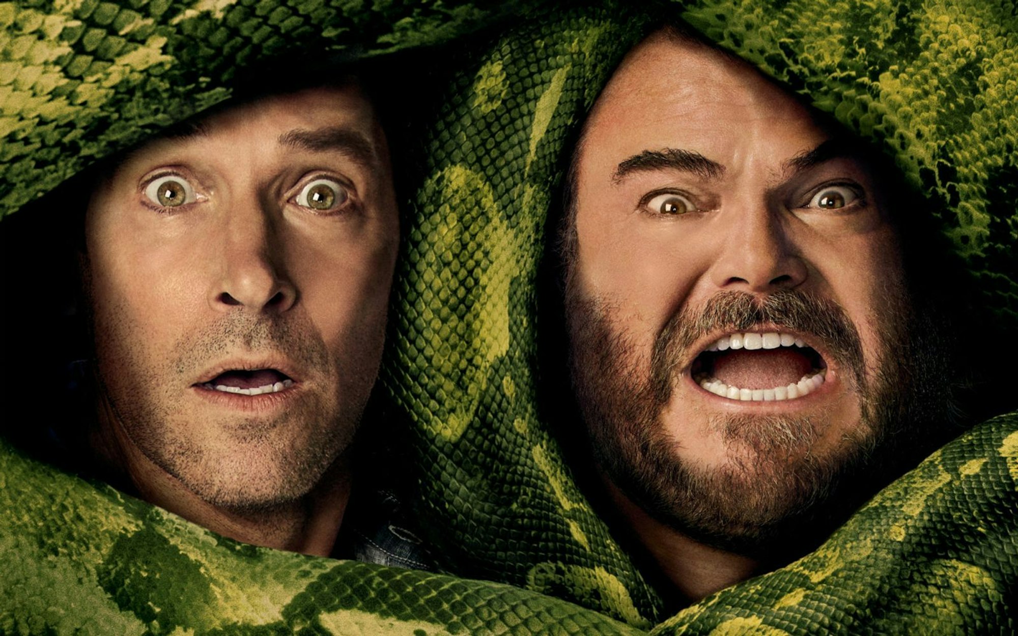 Paul Rudd (links) und Jack Black kommen in der Actionkomödie „Anaconda“ einer Riesenschlange in die Quere. (Bild: 2025 CTMG/Sony Pictures Entertainment)