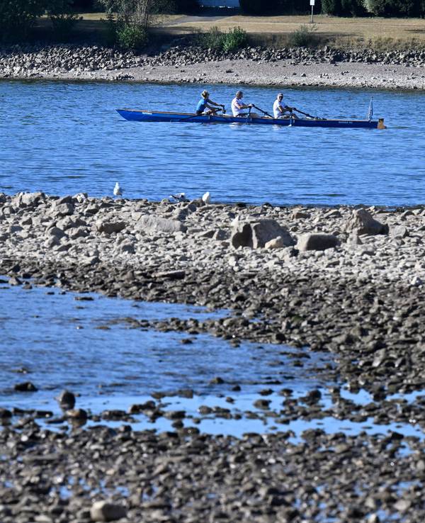 Ein Ruderboot auf dem Rhein (Symbolfoto)