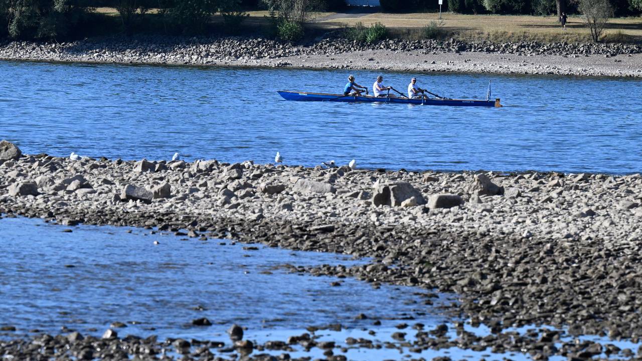 Ein Ruderboot auf dem Rhein (Symbolfoto)