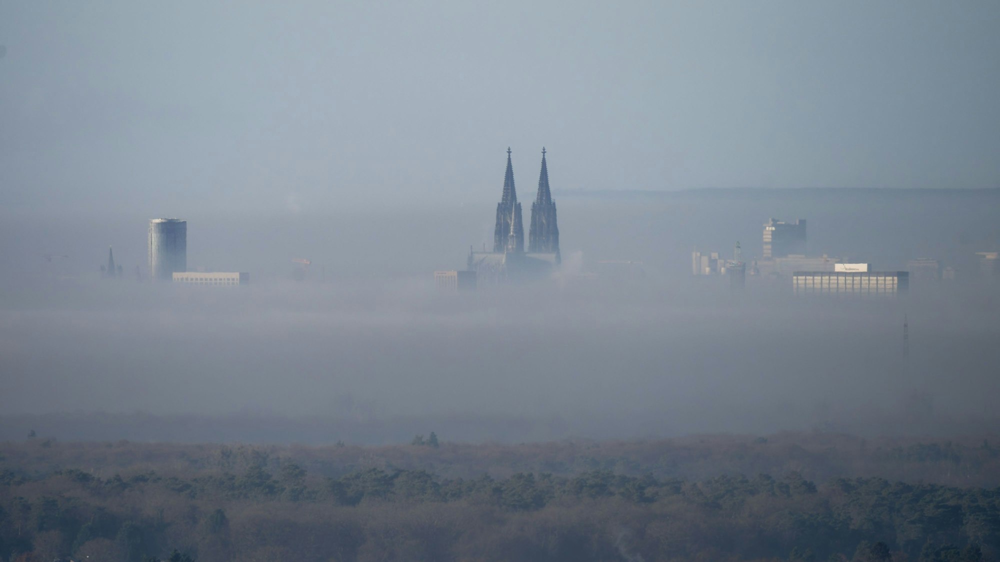 Der Dom und andere hohe Häuser ragen aus dem Nebel über Köln.