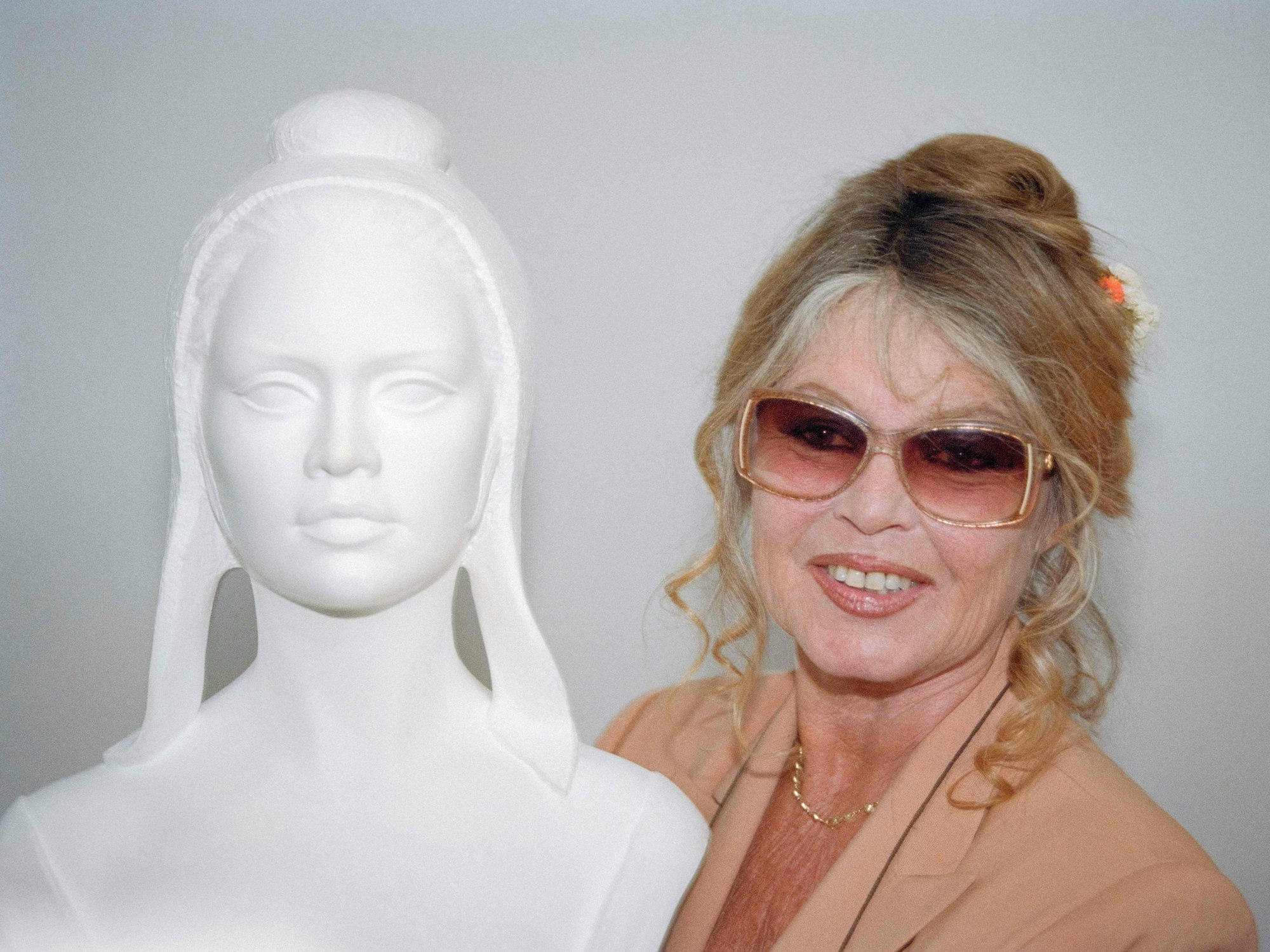 Brigitte Bardot stand Model für die Marianne