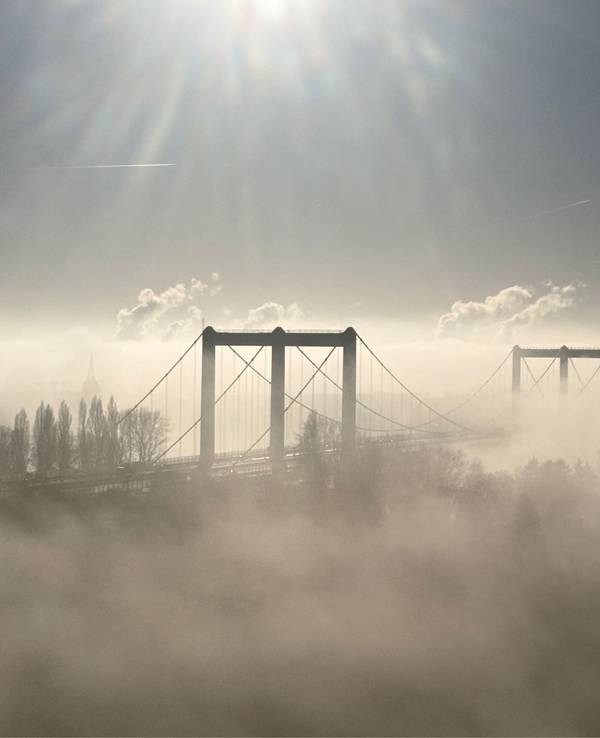 Die Rodenkirchener Brücke ragt aus dem Nebel.