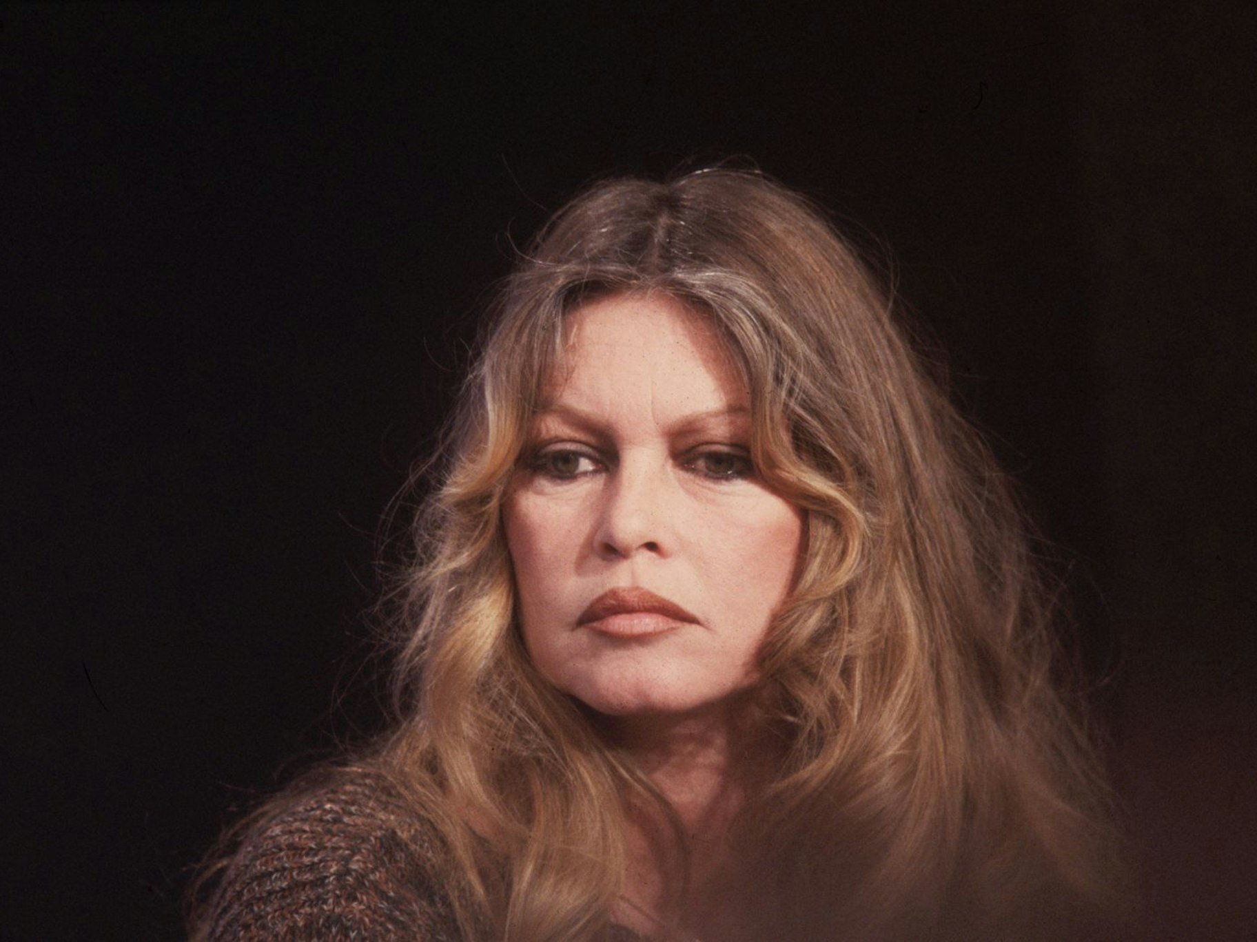 Am 28. Dezember ist Brigitte Bardot im Alter von 91 Jahren verstorben. (Bild: Hulton Archive/Getty Images)