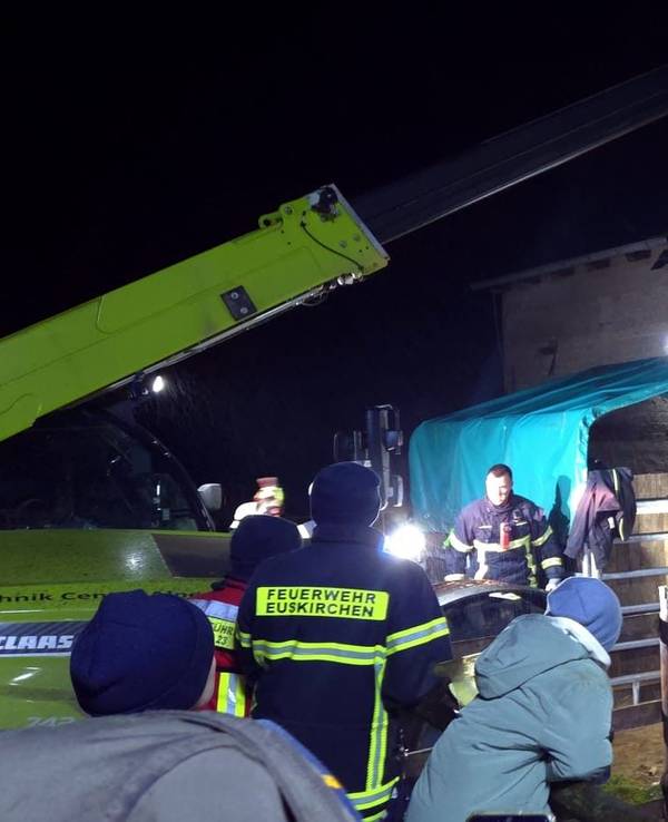 Ein Pferd hängt in einem Seil, Einsatzkräfte der Feuerwehr stehen um es herum.