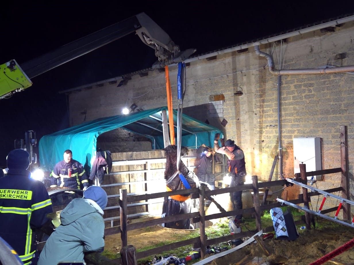 Ein Pferd hängt in einem Seil, Einsatzkräfte der Feuerwehr stehen um es herum.