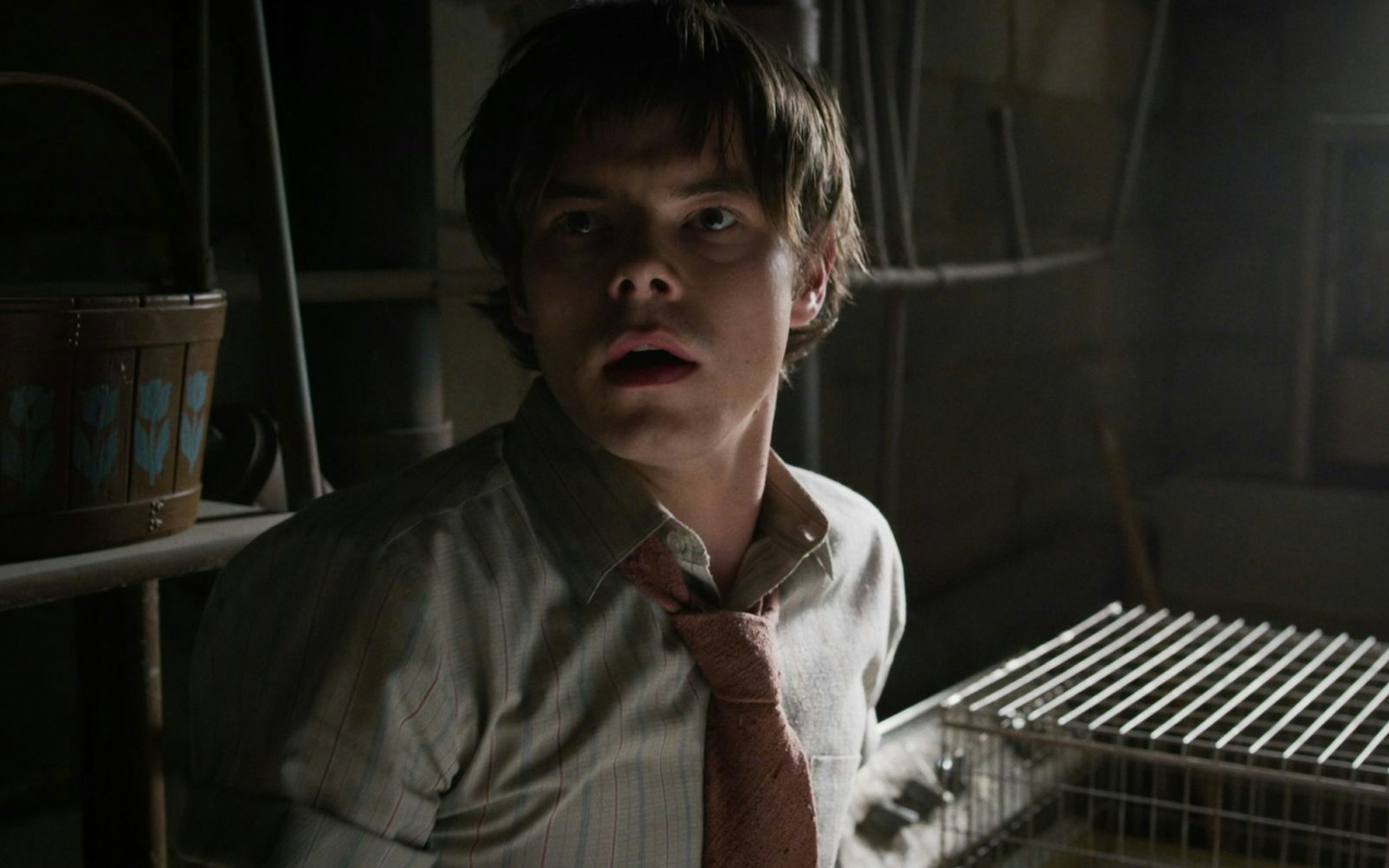 Charlie Heaton wird demnächst in einer noch titellosen Mysteryserie von Netflix zu sehen sein. (Bild: Netflix)