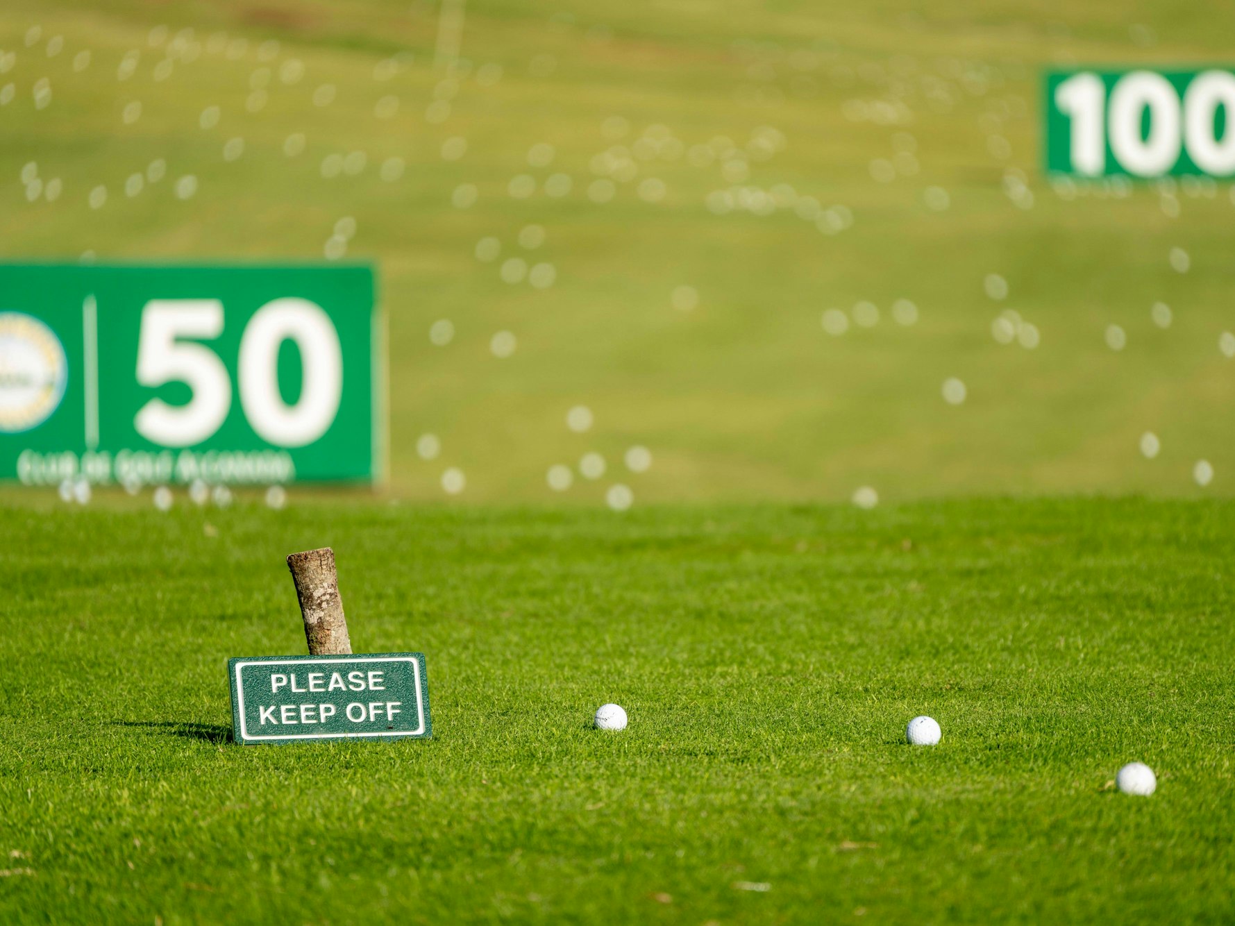 Golfbälle liegen verteilt auf einer Driving Range.