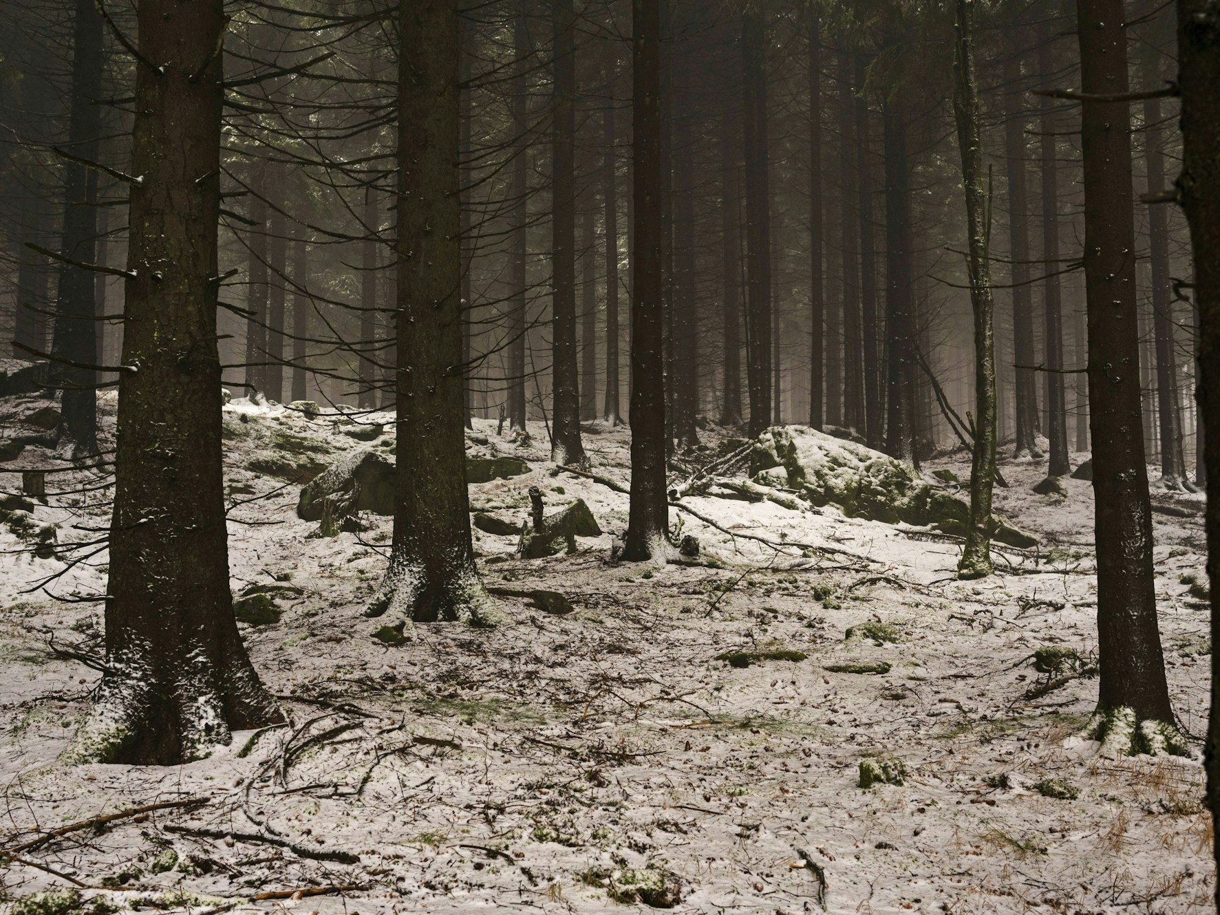 Zwei Teenager haben sich im Dunkeln und bei Minusgraden in einem Waldstück bei Krefeld verirrt (Symbolbild).