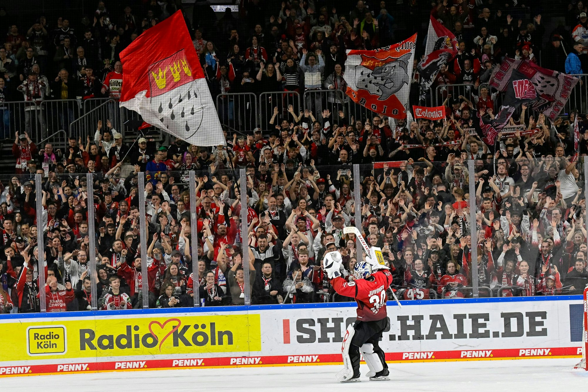 Die Haie-Fans jubeln mit Janne Juvonen.