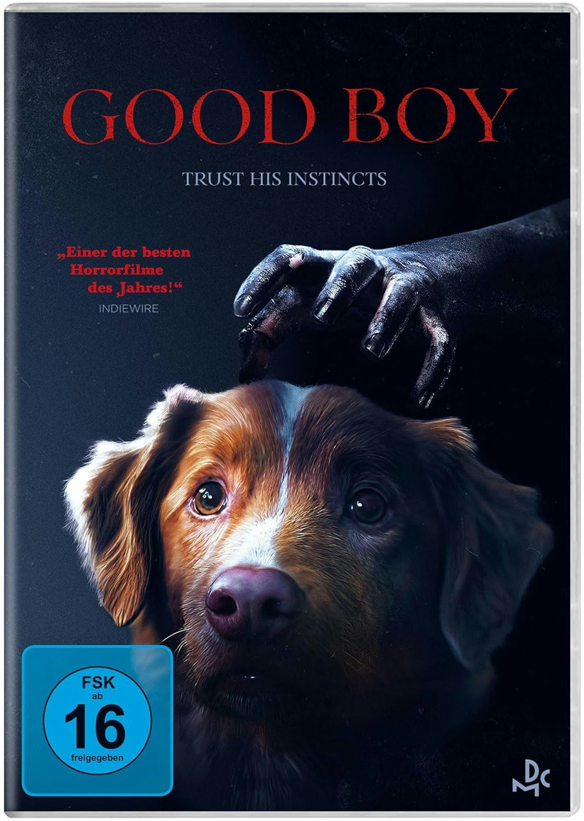 Im Zentrum des Horrorfilms „Good Boy - Trust in his instincts“ steht der Hund Indy. (Bild: Leonine)