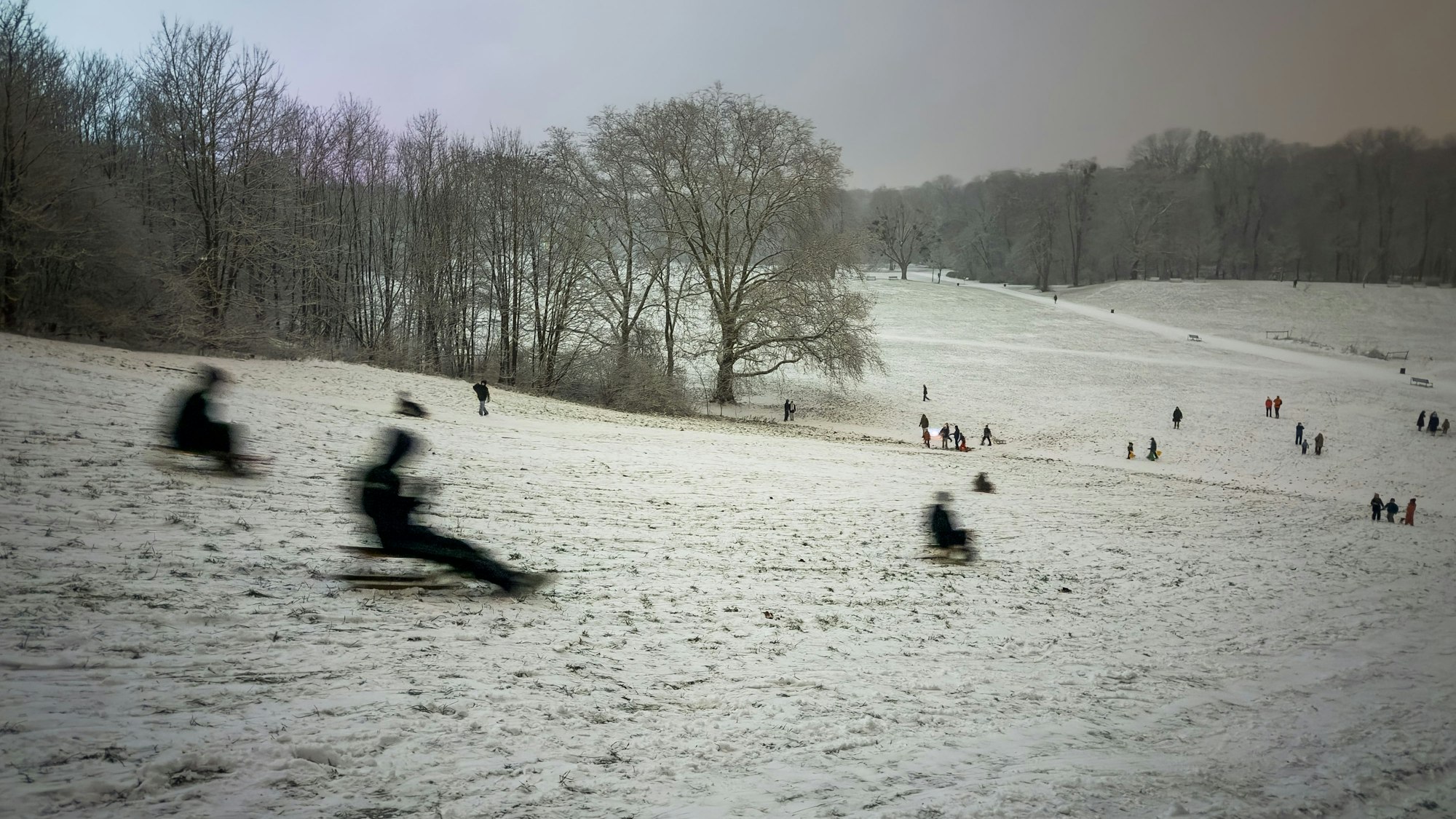 Kinder rodeln auf Schlitten im Beethovenpark den Pilzberg hinab. Am Samstag (10. Januar) kam es in der Nähe zu einem Polizeieinsatz.