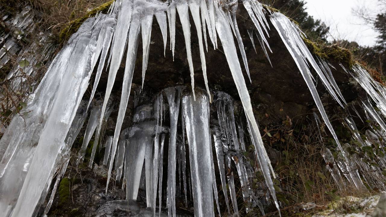 Lange Eiszapfen hängen an einer vereisten Felswand.