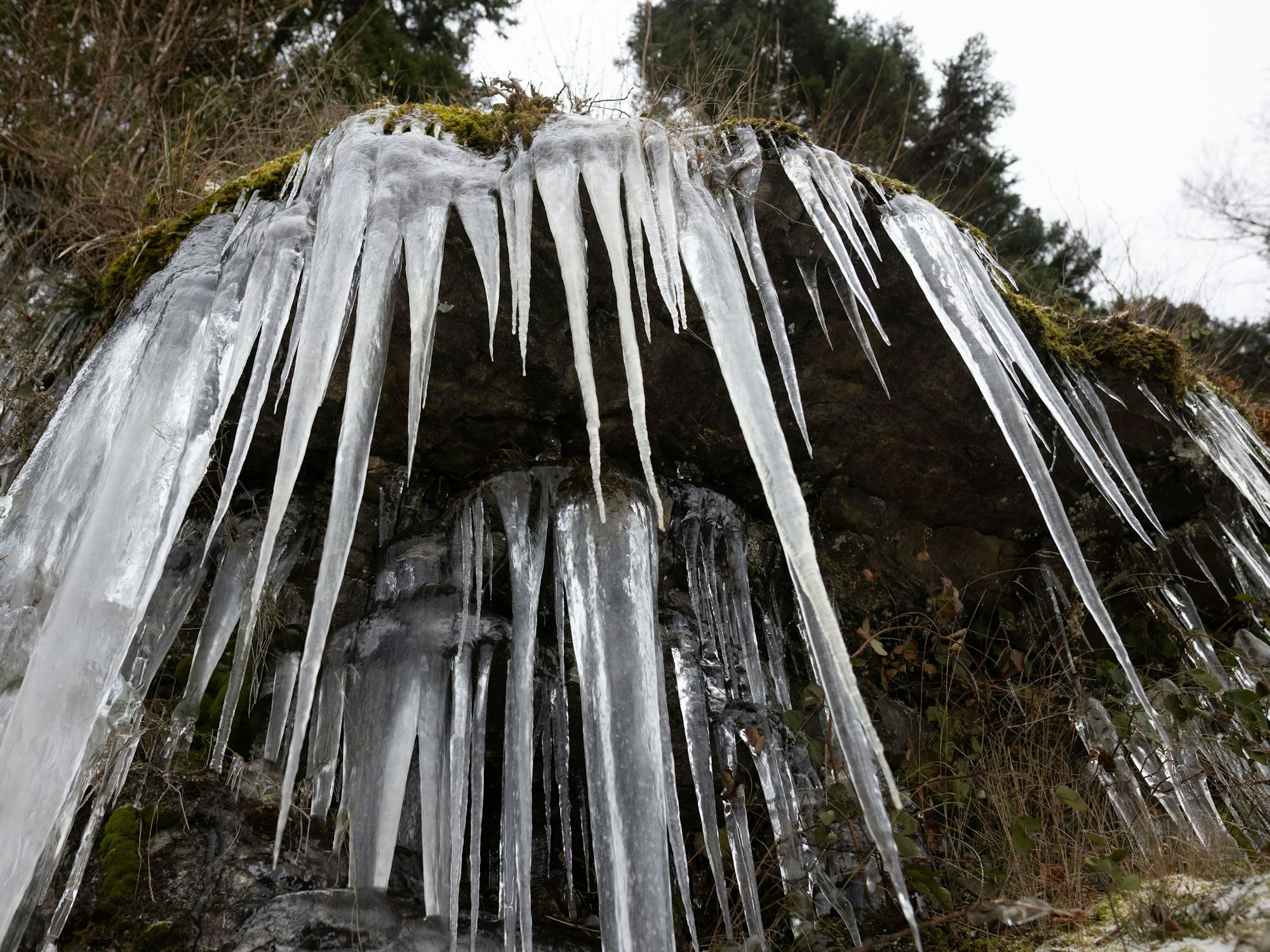 Lange Eiszapfen hängen an einer vereisten Felswand.