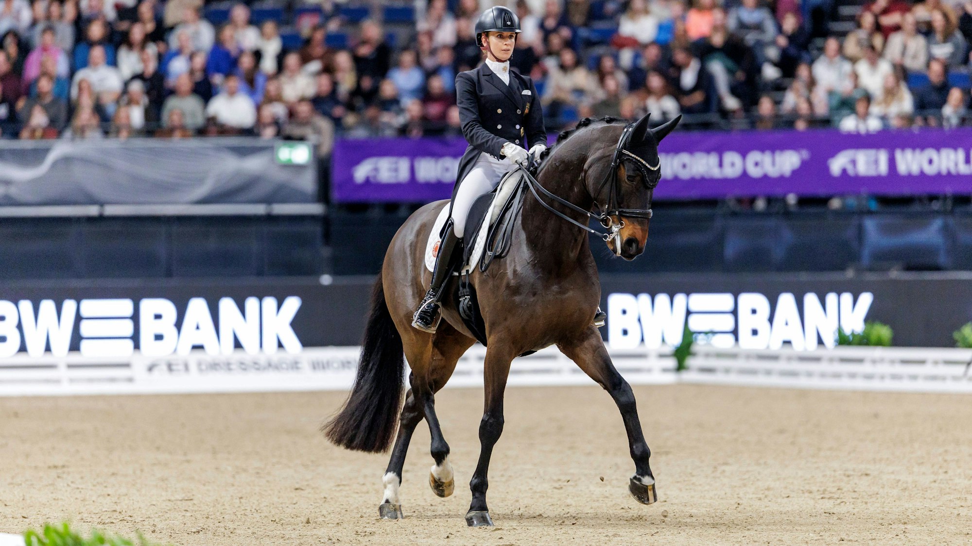 In der Dressur reitet Jessica von Bredow-Werndl auf ihrem Pferd Diallo.