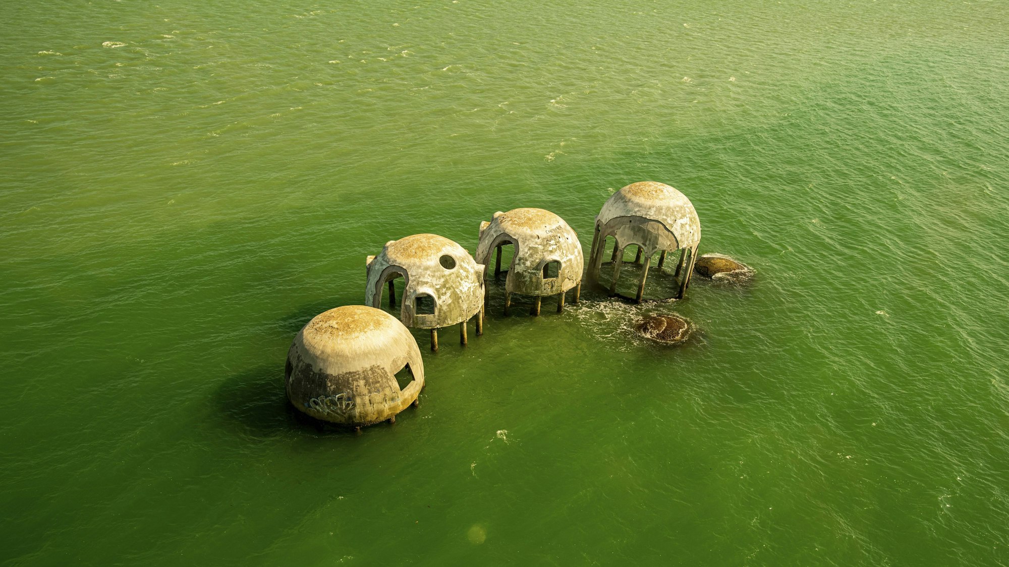 Mehrere Häuser stehen in grünem Wasser
