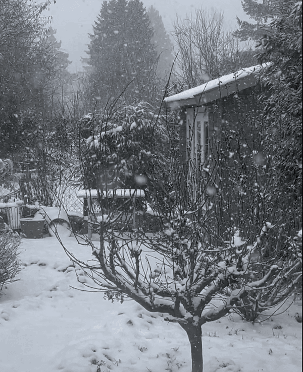 Auch in Köln-Flittard hat es ordentlich geschneit.