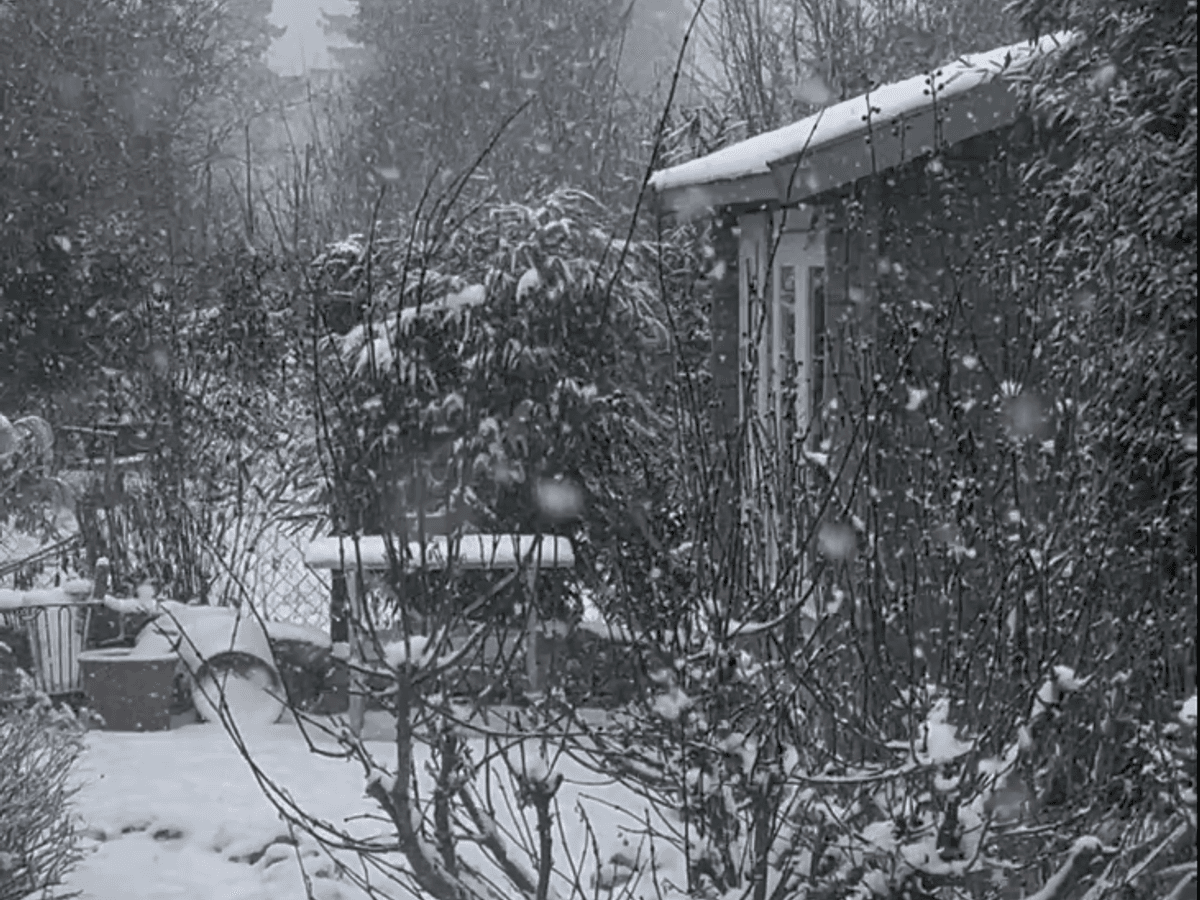 Auch in Köln-Flittard hat es ordentlich geschneit.