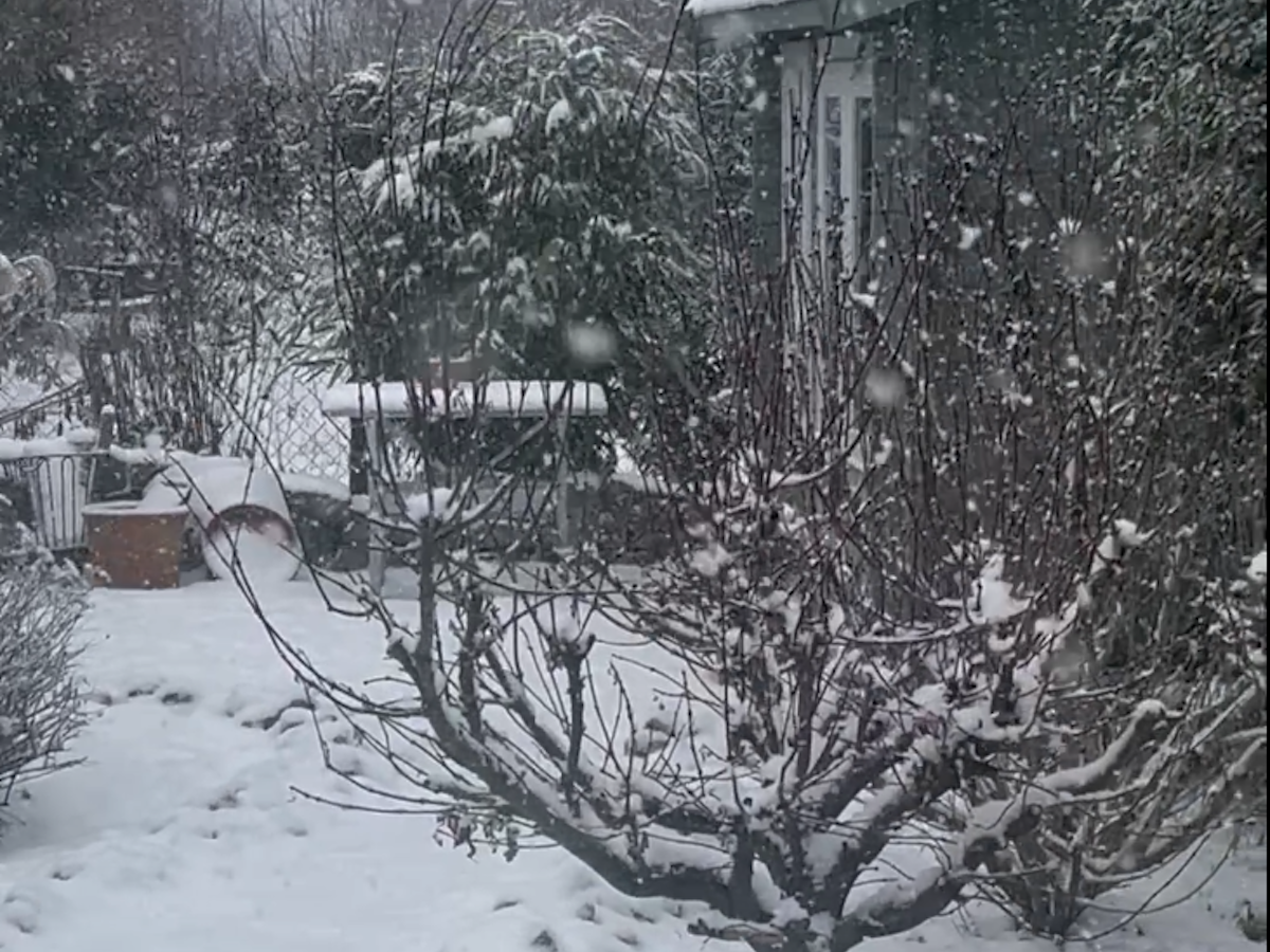 Auch in Köln-Flittard hat es ordentlich geschneit.