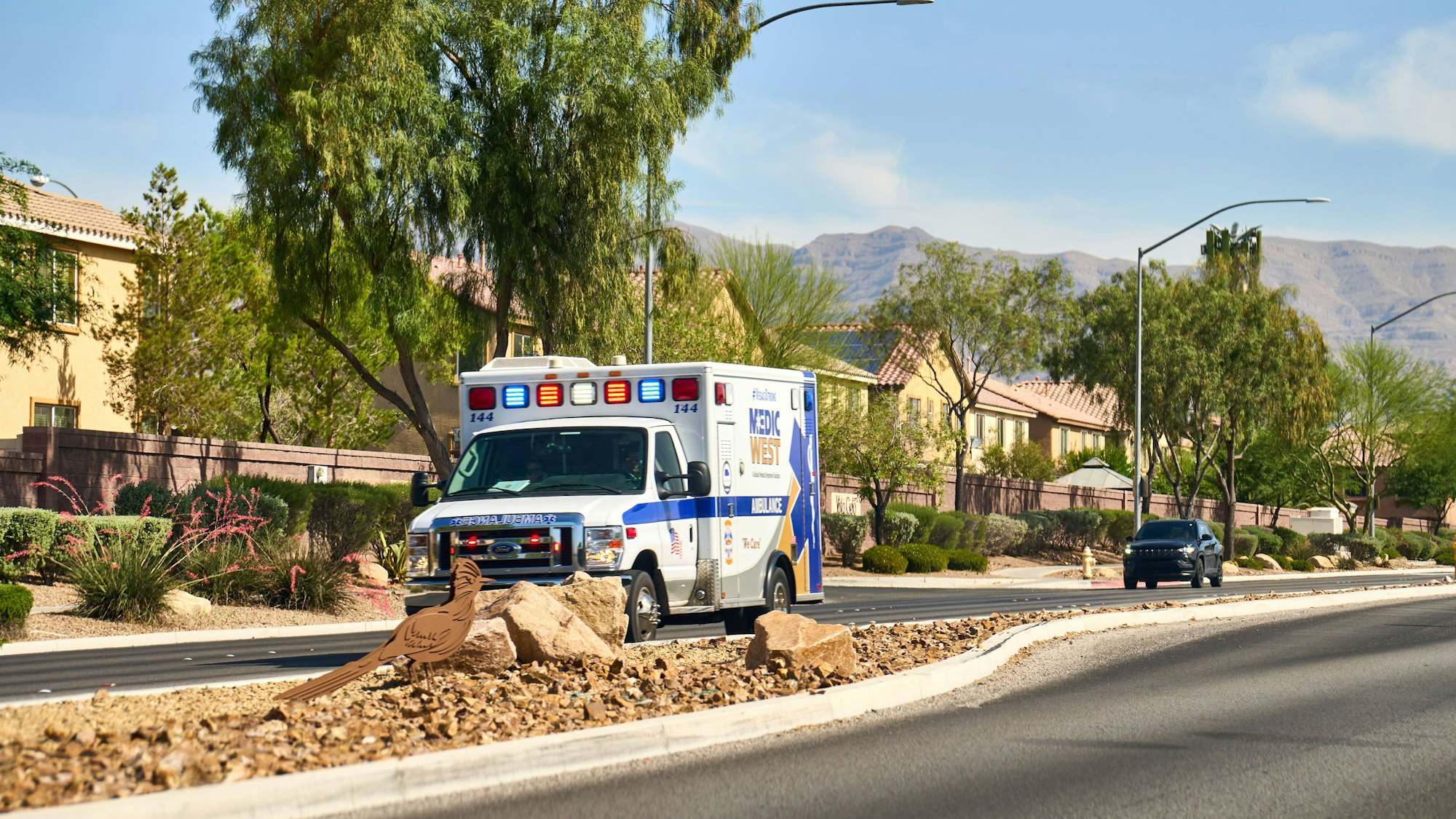 Rettungswagen auf Straße in Wohngebiet