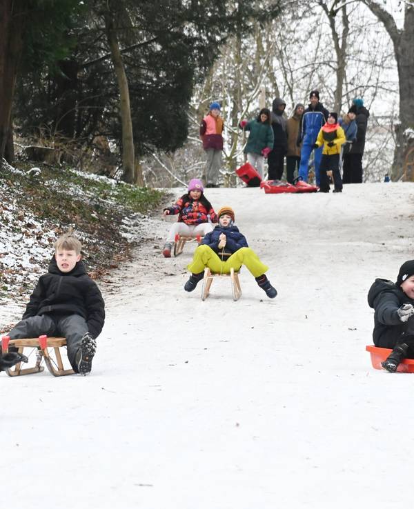 Kinder rodeln im Volksgarten.