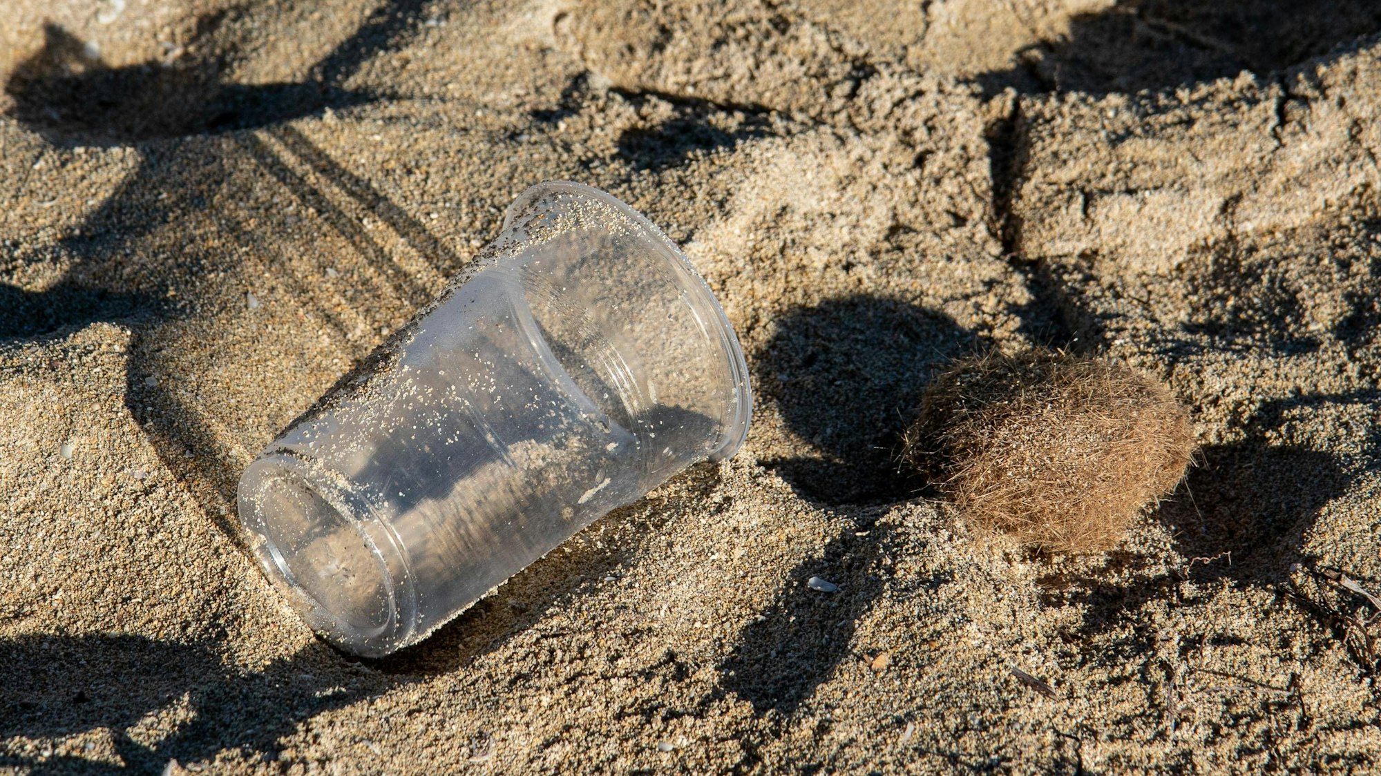 Plastikbecher und Müll liegen im Sand