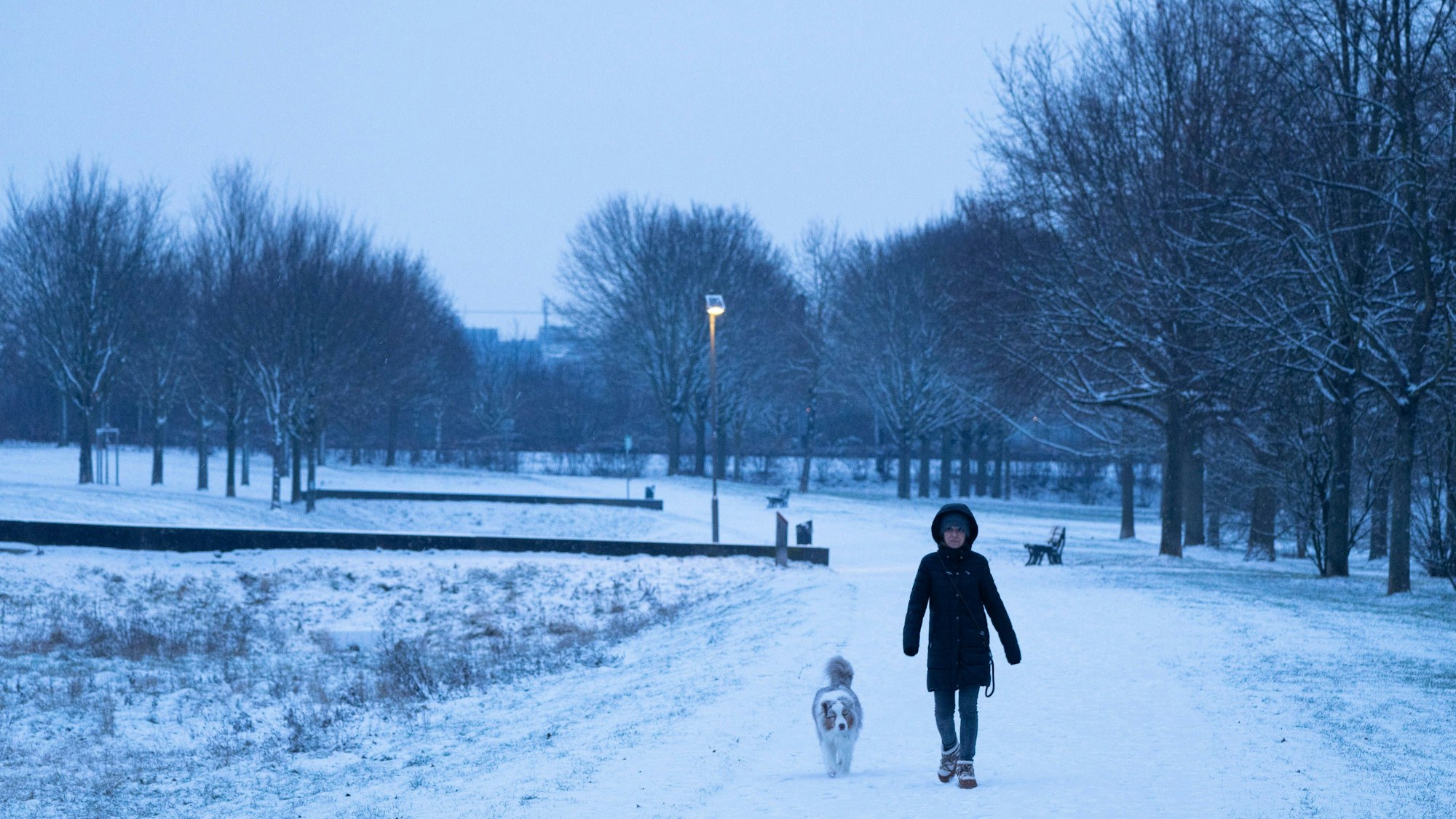 Eine Frau spaziert mit Hund im Schnee