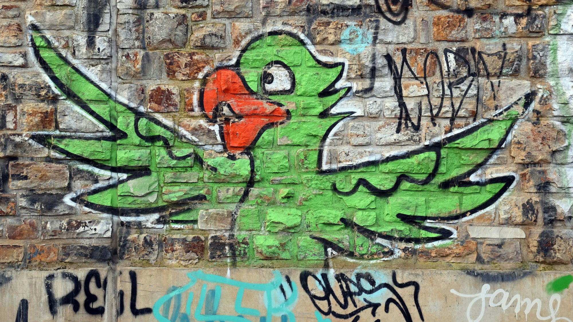 Ein Papageien-Graffiti am Eifelwall