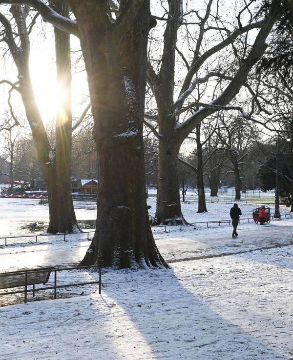 In Köln hat es wieder geschneit.