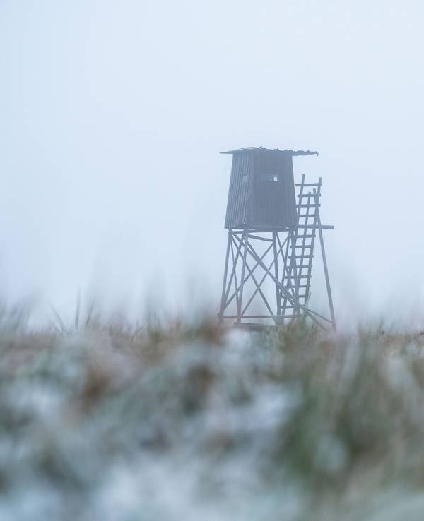 Ein Hochsitz im Morgennebel. Bei der Jagd starb ein 23-jähriger Mann.