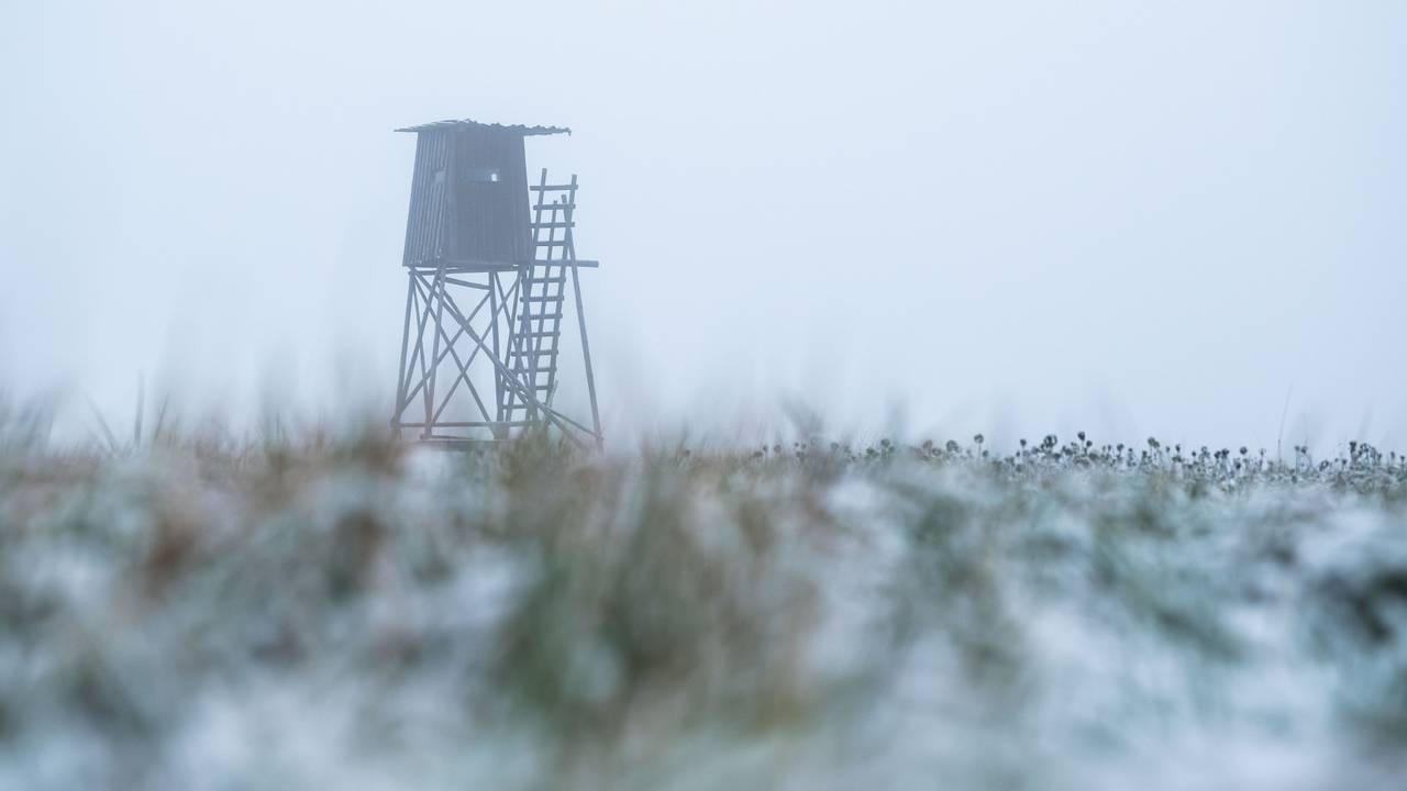 Ein Hochsitz im Morgennebel. Bei der Jagd starb ein 23-jähriger Mann.