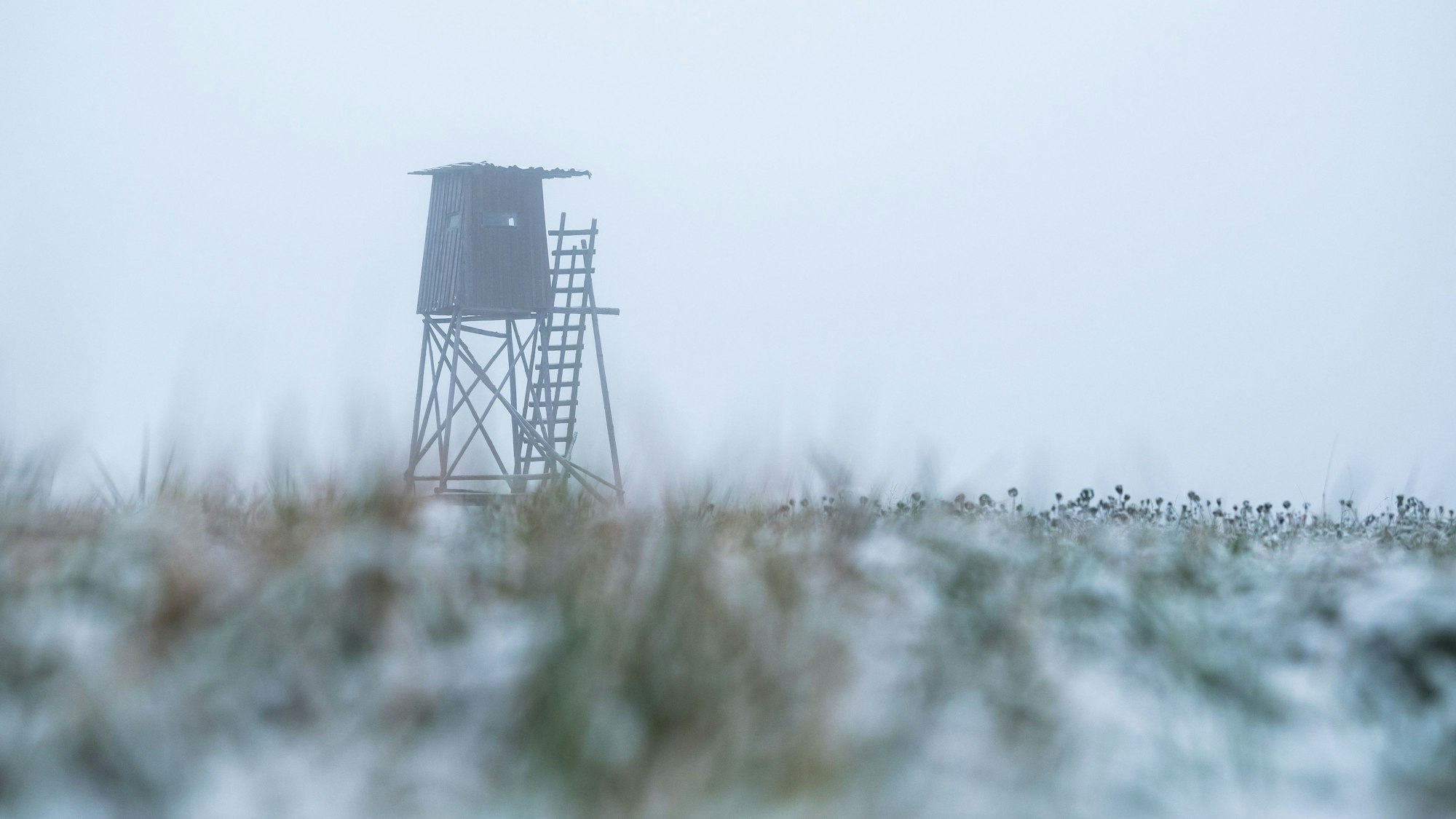 Ein Hochsitz im Morgennebel. Bei der Jagd starb ein 23-jähriger Mann.