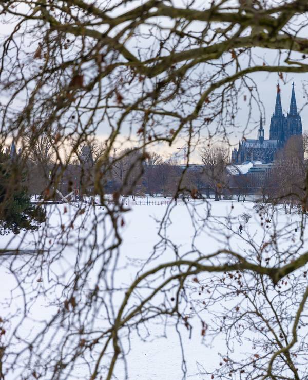 Der Kölner Dom – im Vordergrund die schneebedeckten Wiesen des Rheinparks.