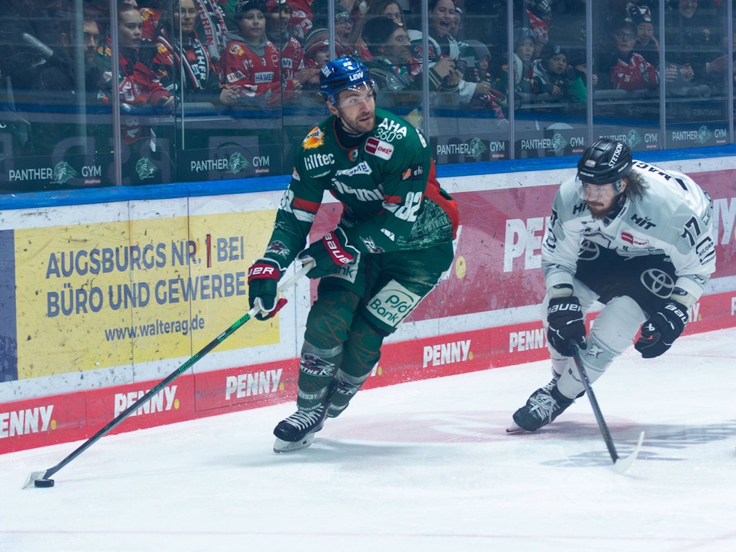 Alexandre Grenier (l.) spielte mit den Augsburger Panthern gegen seinen Ex-Klub Kölner Haie.
