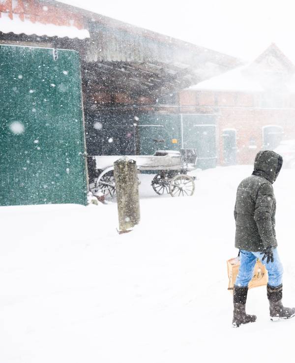 09.01.2026, Niedersachsen, Laatzen: Ein Mann geht beim Schneesturm an einem Hof in der Region Hannover vorbei. Foto: Julian Stratenschulte/dpa +++ dpa-Bildfunk +++