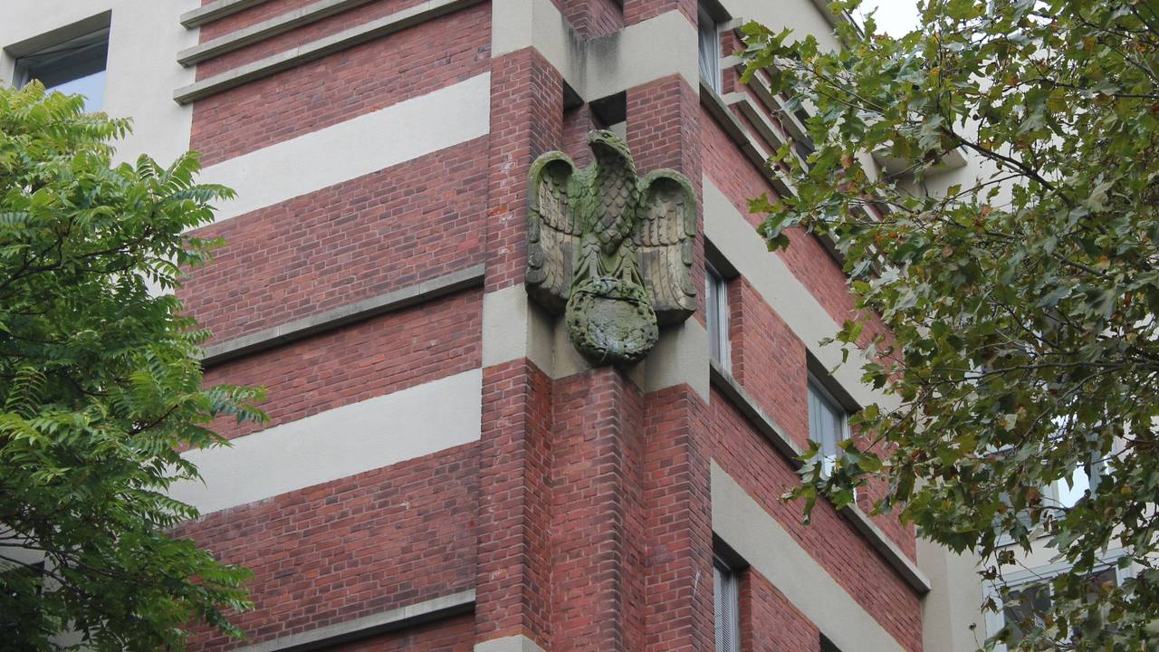 Eine Adlerskulptur an Kölner Gebäude