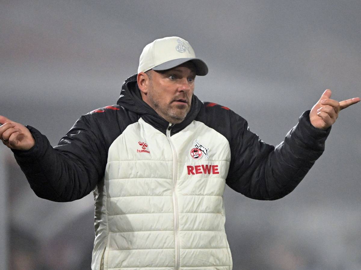 Lukas Kwasniok ratlos am Spielfeldrand beim Spiel des 1. FC Köln.