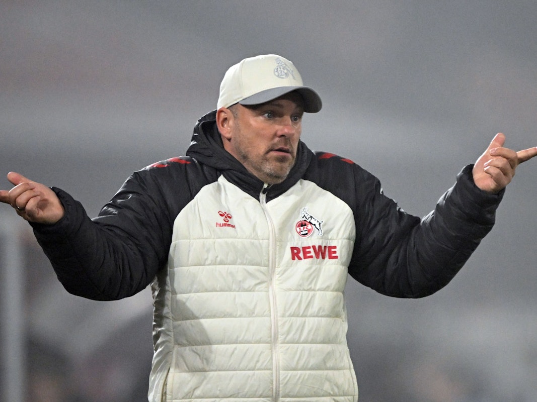 Lukas Kwasniok ratlos am Spielfeldrand beim Spiel des 1. FC Köln.