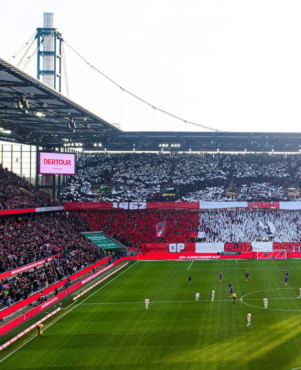Die Fans des 1. FC Köln präsentierten beim Spiel gegen Mainz am 17. Januar 2026 eine gigantische Choreografie.