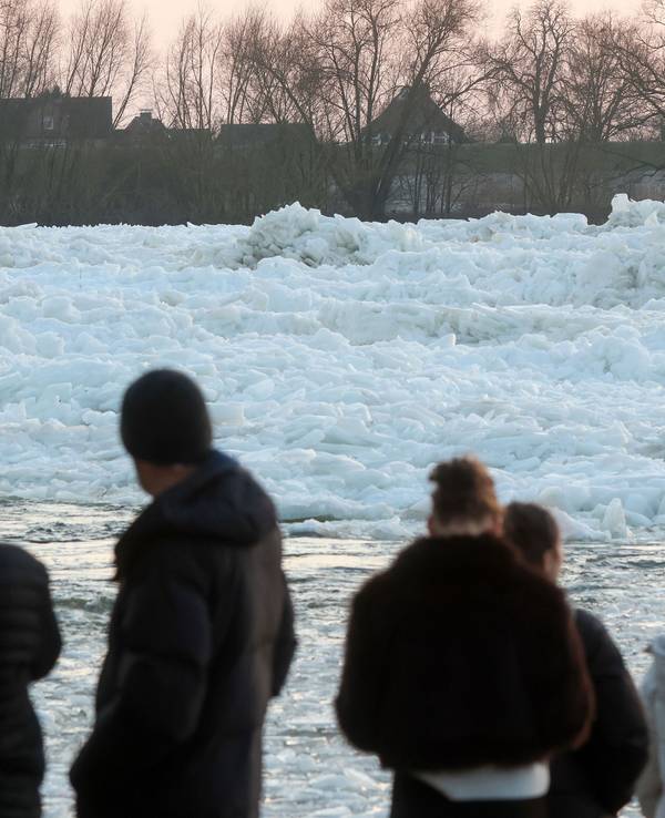 Mehrere Personen gucken sich Eisberge an.