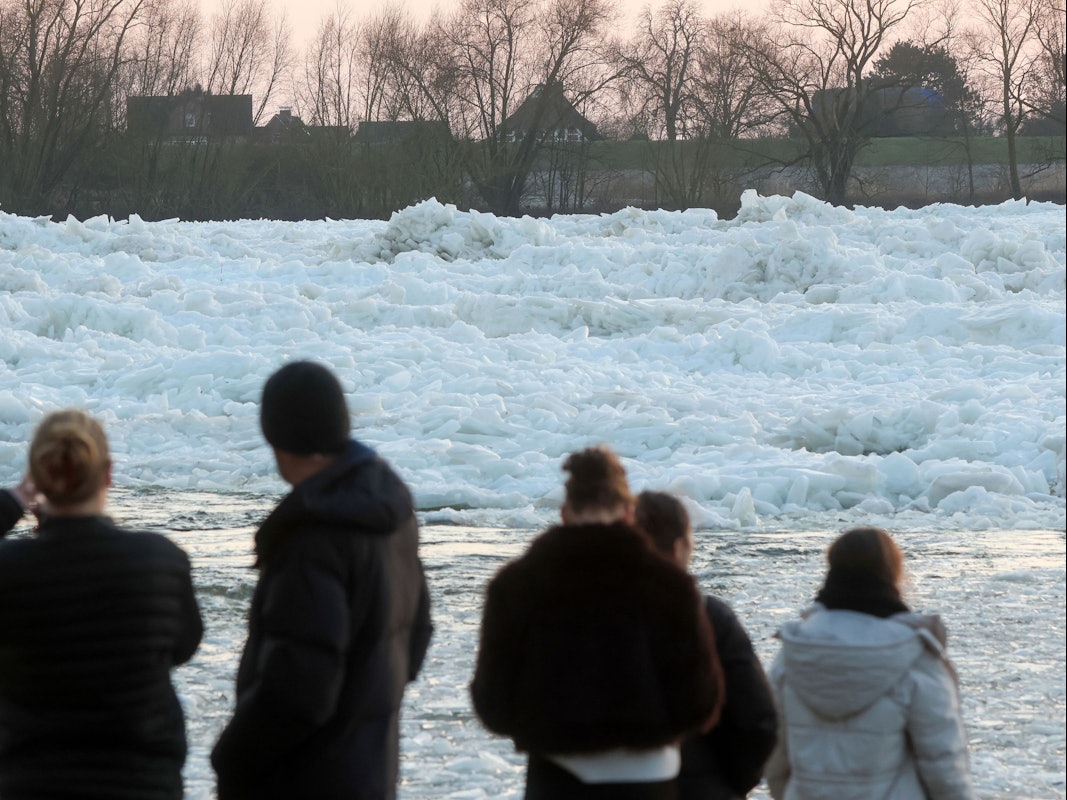 Mehrere Personen gucken sich Eisberge an.